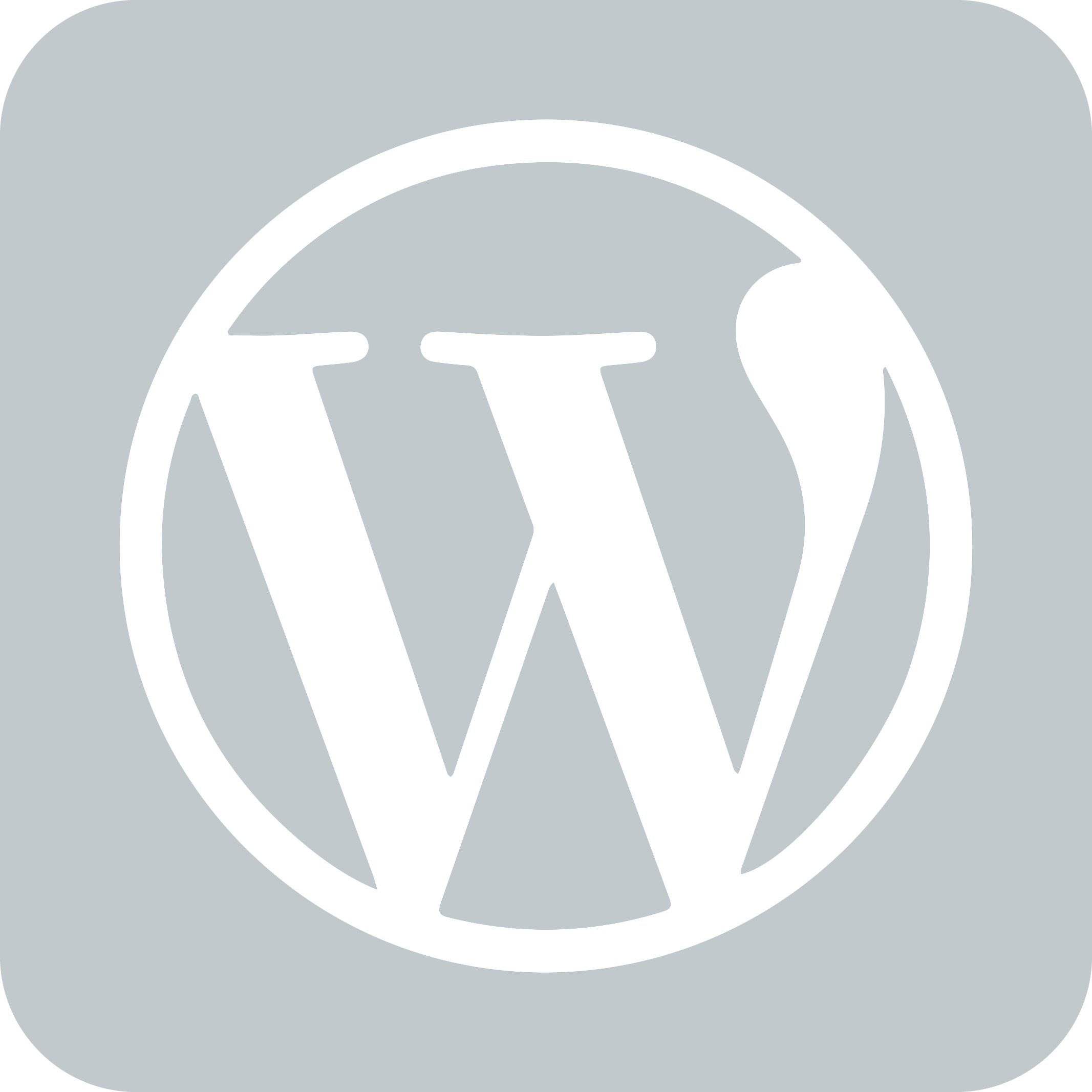 Publish on WordPress